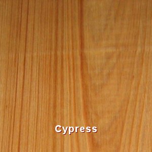 Example of Cypress