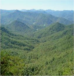 The Most Beautiful Viewsin the Smoky Mountains
