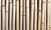 Rolled Tonkin Bamboo Fence
