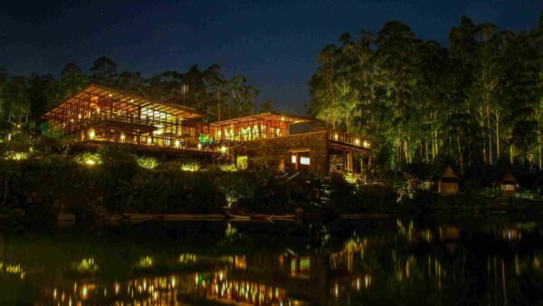 Landscape Lighting