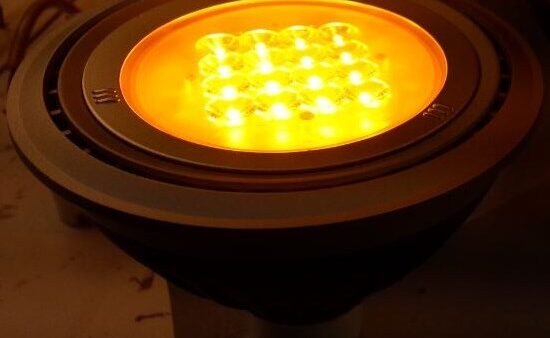 turtle-friendly lighting