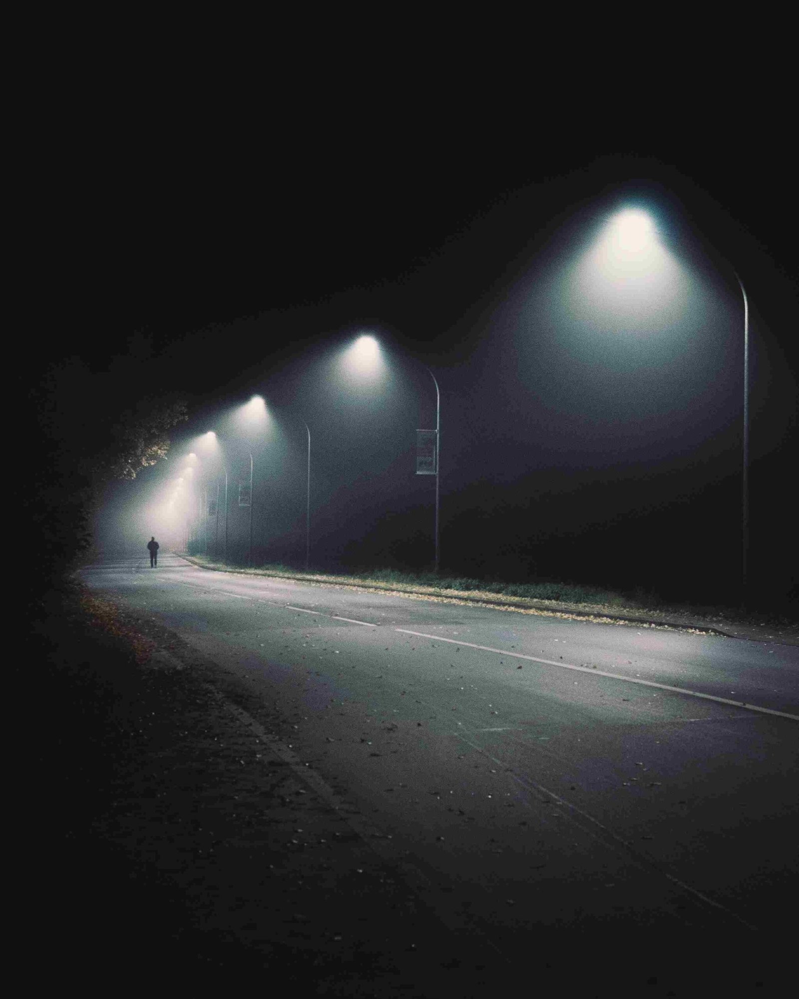 Integrated Pole Solar Street Light