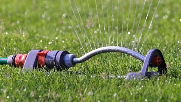 water sprinkler in a lawn