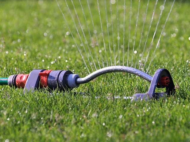 water sprinkler in a lawn