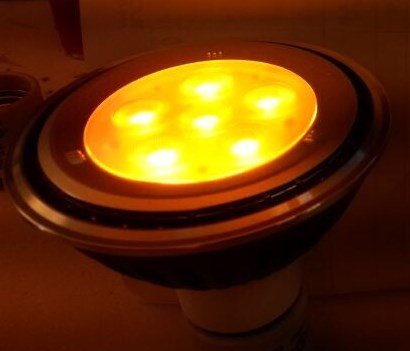 LED Turtle Lighting